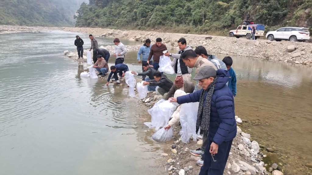 मनहरी पुल नजिकैको खोलामा माछामा भुरा छाडिँदै ।