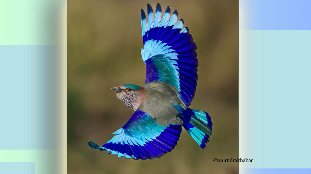 photo credit: Sandeep dangi